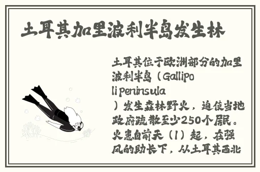 老牛嫩草一二三区别